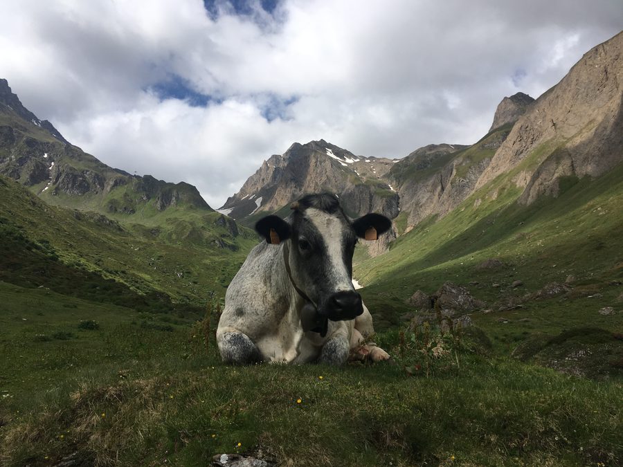 Near Lago di Morasco
