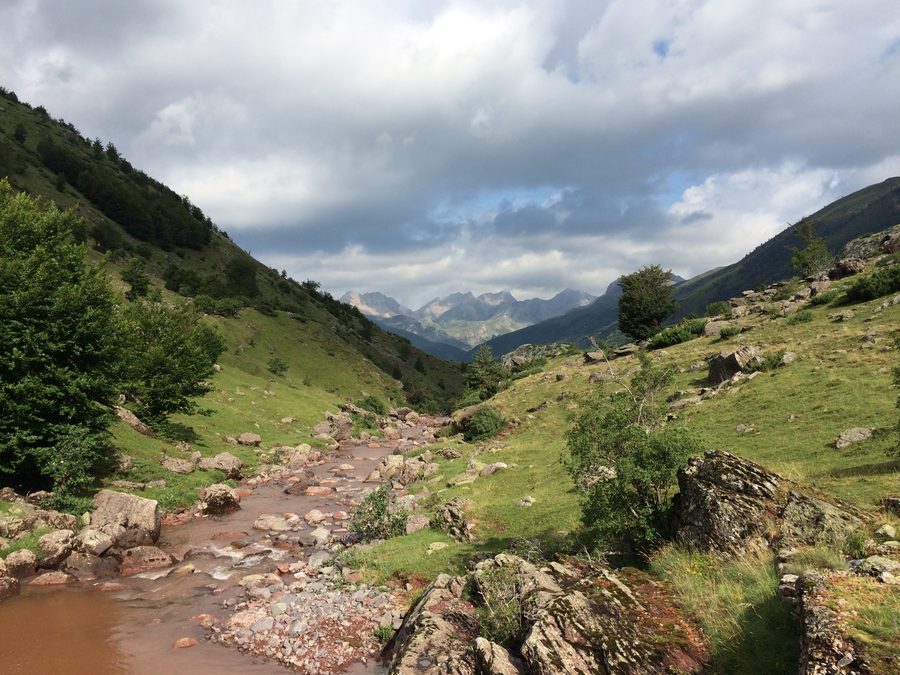 Mallo Blanco y Rio Aragón Subordán
