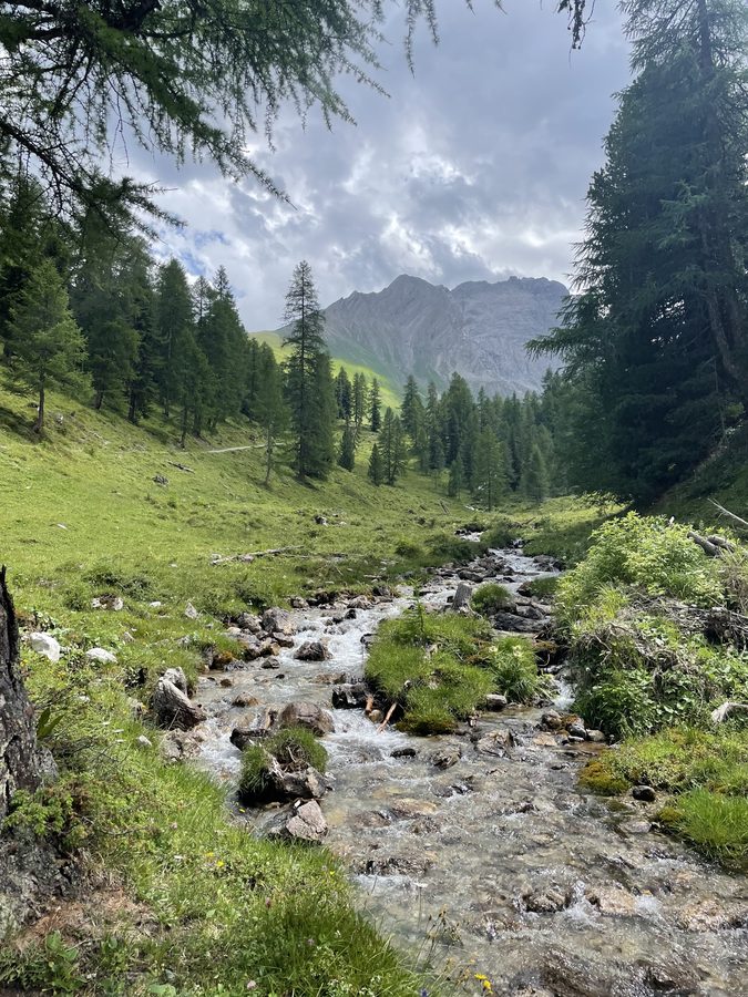 Towards Chamona d'Ela